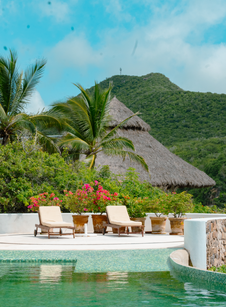 Palapa roof among palms and a tropical garden at Casa Papelillo